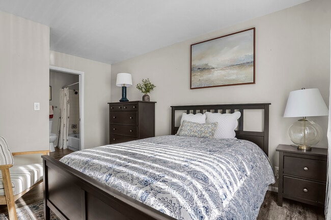 Photo - Mountain Shadows