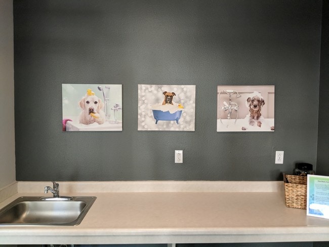 Dog Washing Station - Forest Hills