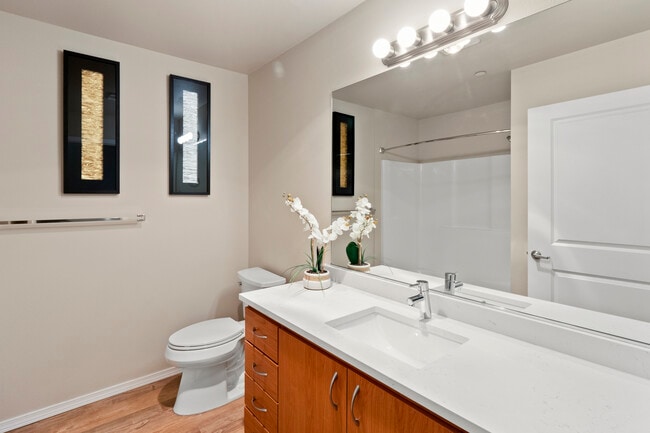 Soft Close Toilets