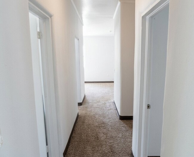 Photo - 22 Burgess Ct