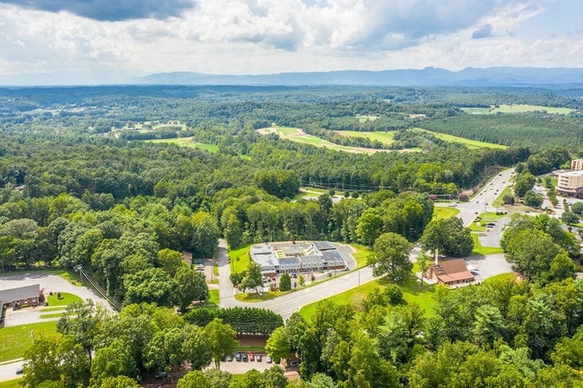 Forest View Apartments