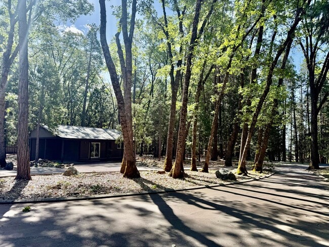 Photo - 13240 Loma Rica Dr