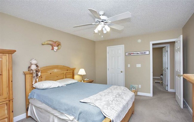 Habitación principal - 2425 Laurel Falls Ln