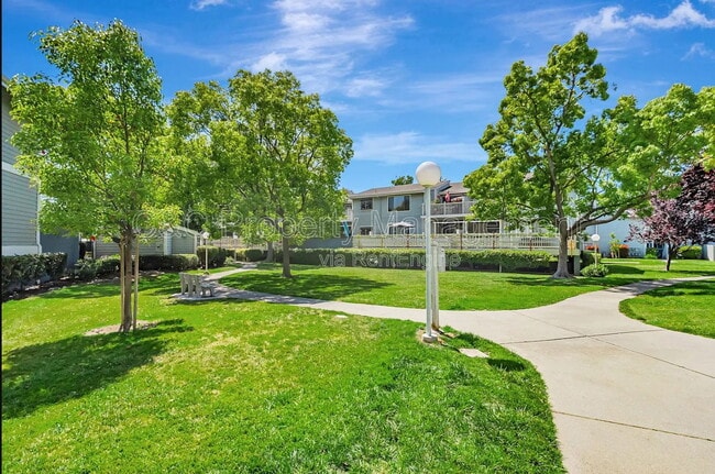 Photo - 37050 Meadowbrook Common Unit 203