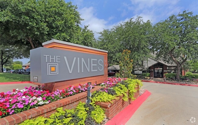 The Vines