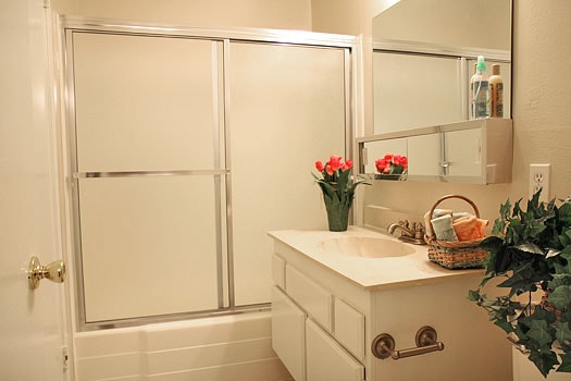 Photo - Sutter's Mill