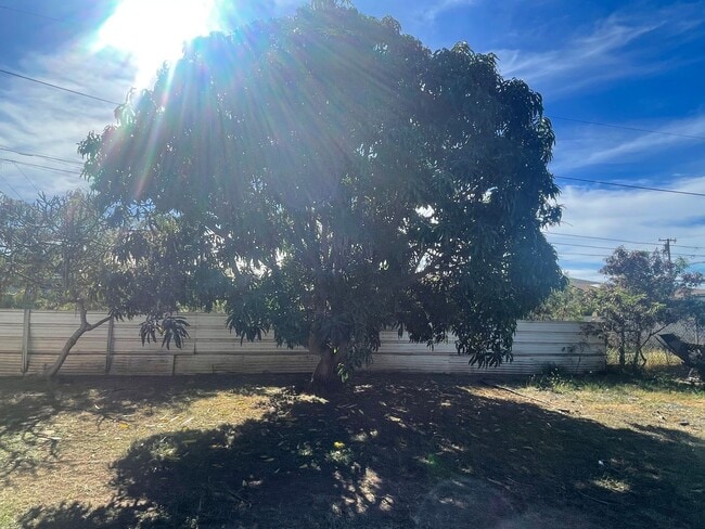 Photo - 2/1 duplex in Makaha | $1500.00 water included