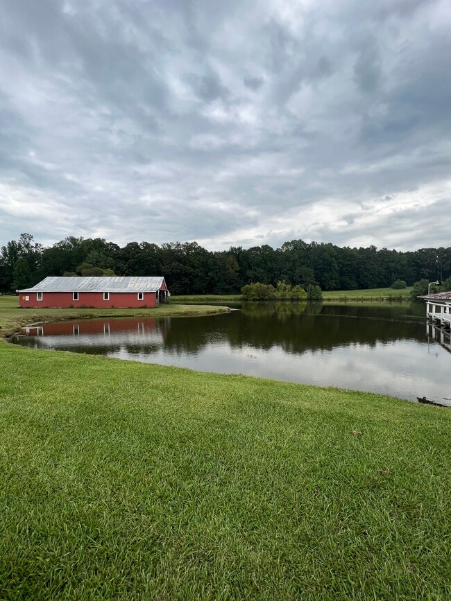 6 Acre pond - 729 Highway 314