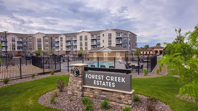 Photo - Forest Creek