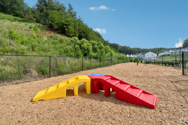 Dog Park