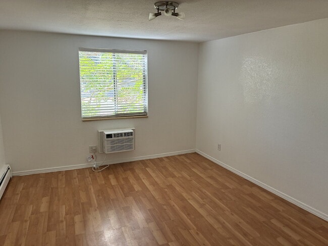 Photo - Beautiful Updated 1 Bedroom 1 Bathroom - Huge Living Room! Unit #258