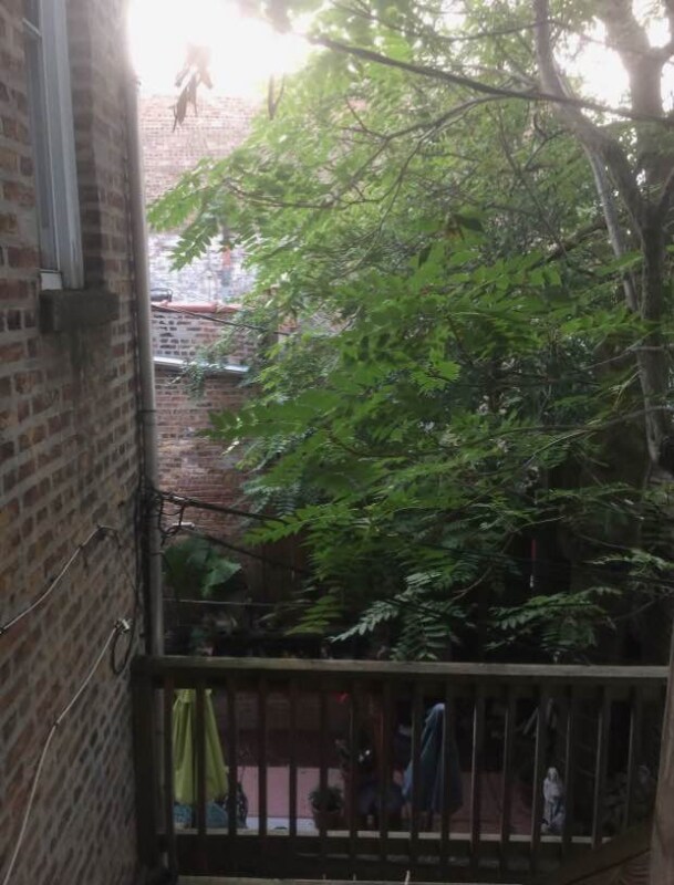 Photo - 2908 N Wisner Ave Unit 2