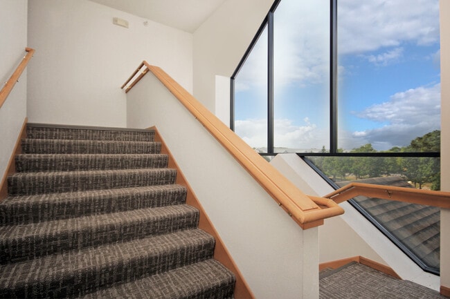 Photo - Regency Park South