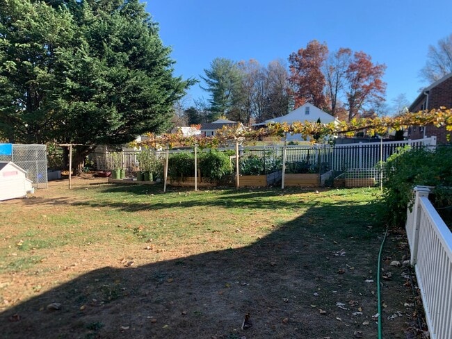 Photo - DALLASTOWN SCHOOLS