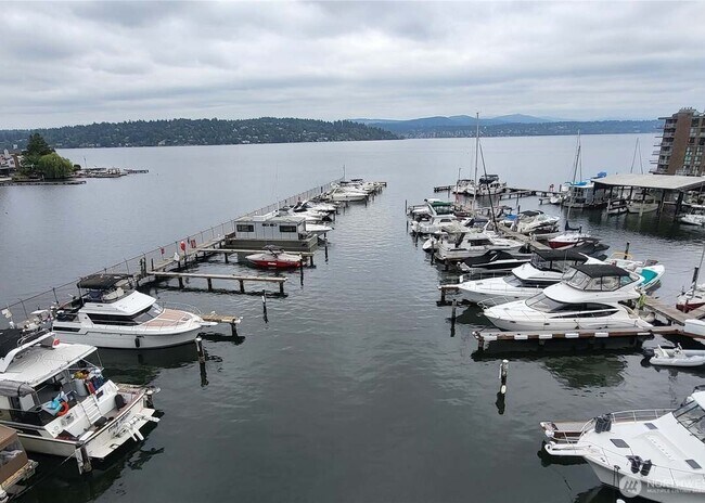Lake Washington Marina - 9030 Seward Park Ave S Unit 411