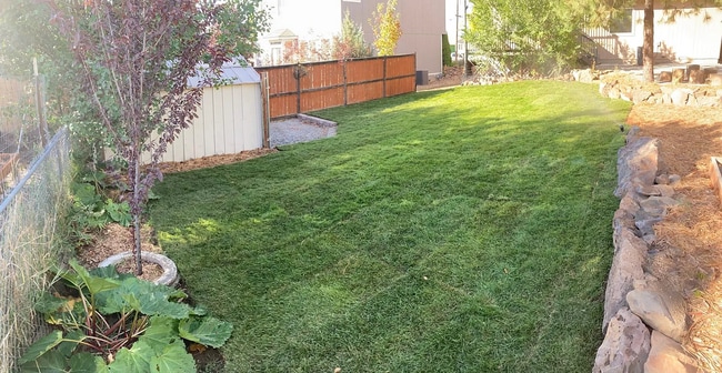 Photo - Lowther Single Family