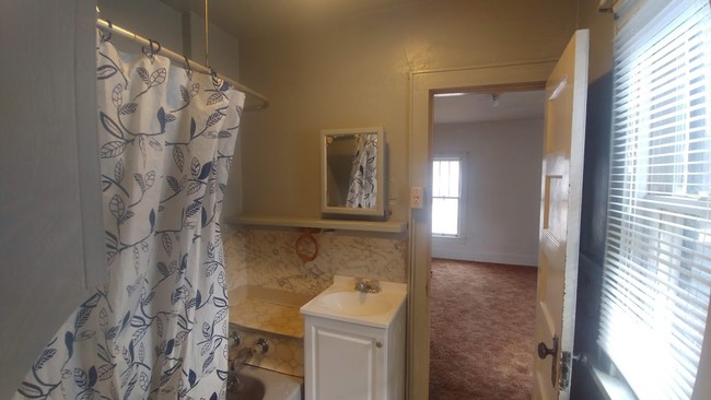 bathroom - 315 S 3rd St Unit 315