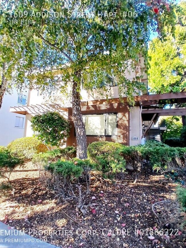 Building Photo - 1609 Addison St Rental