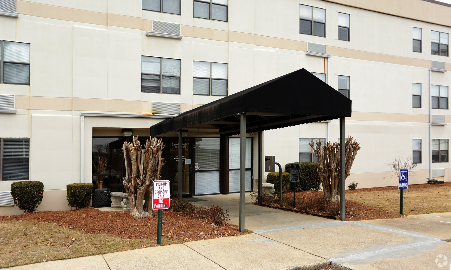 Photo - Camellia Gardens