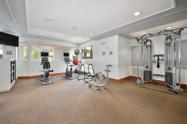The Vivere Lofts