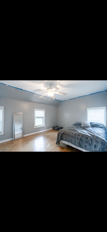 Photo - 1120 Williams St Unit 1120 WILLAMS ST APT A