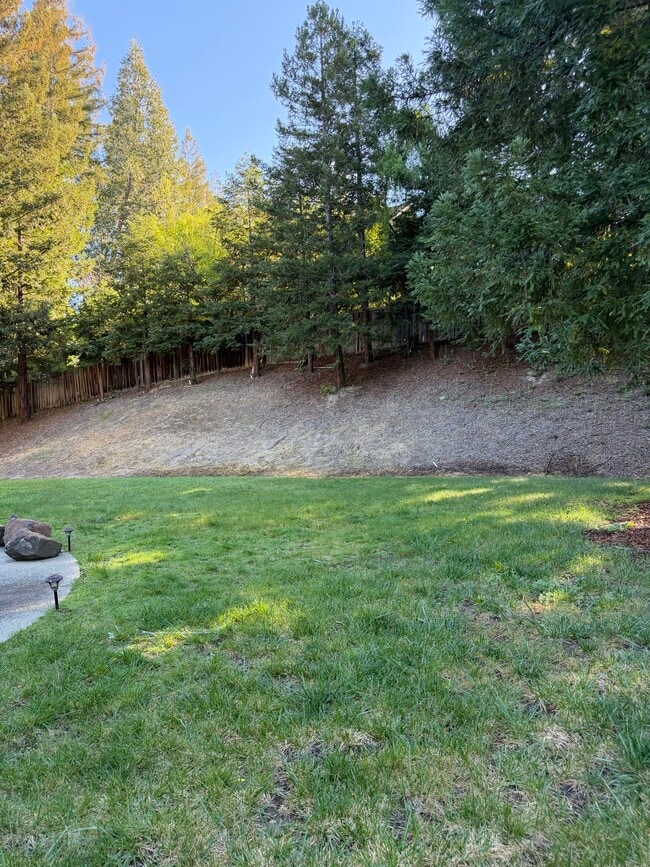 Photo - 2406 Alamo Glen Dr