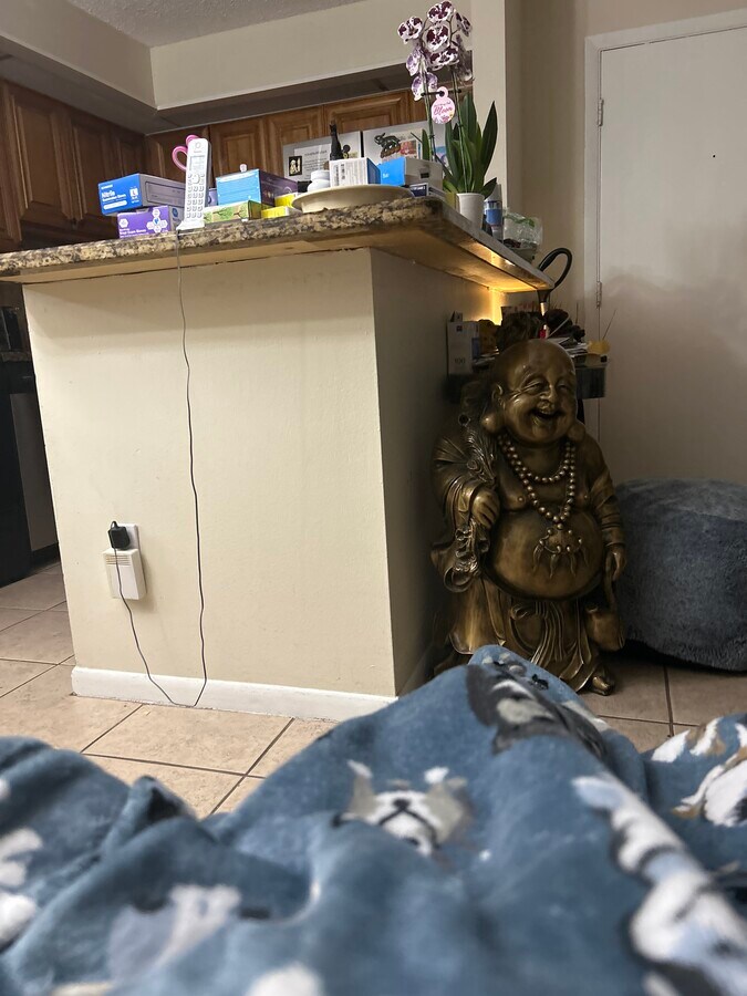 Photo - 7190 Ashmont Cir Unit linda littman