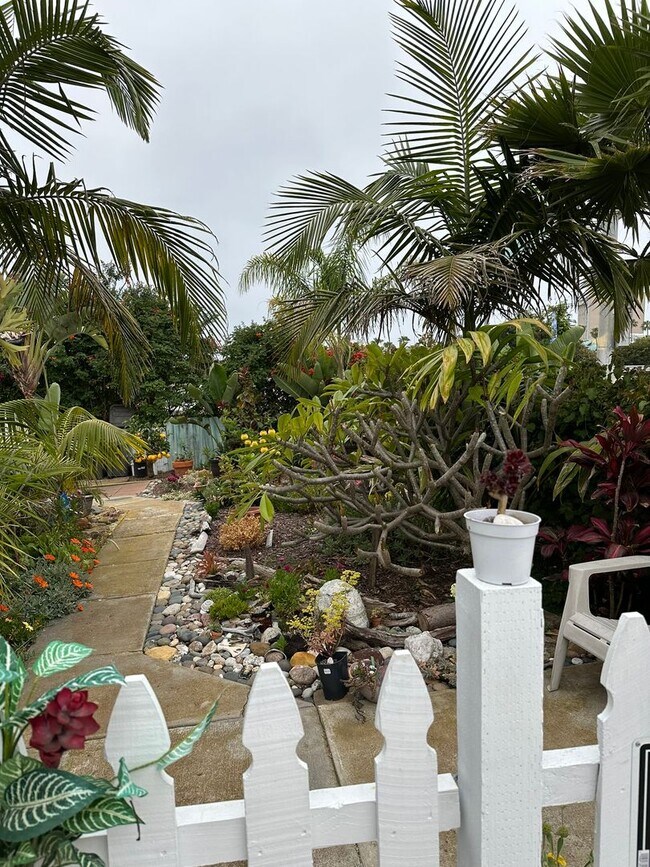 Cute Oceanside Studio with utilities inclu... Rental House Rental in