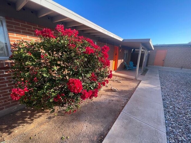 Photo - Mid-Century Modern Style Two Bedroom W/ A/...