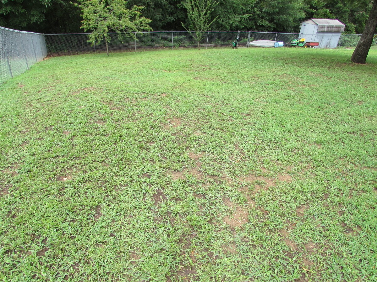 Photo - Fully Fenced Backyard, Finished Basement