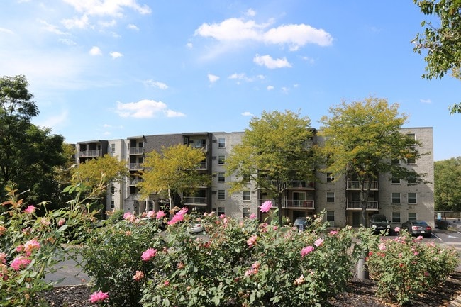 Photo - The Guardian