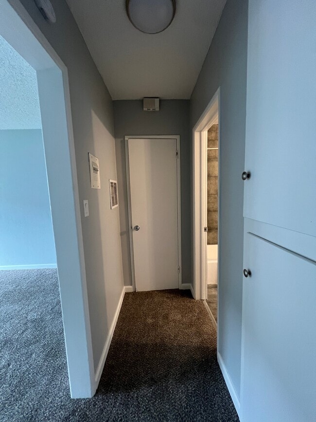 319 N Bush St Unit 4