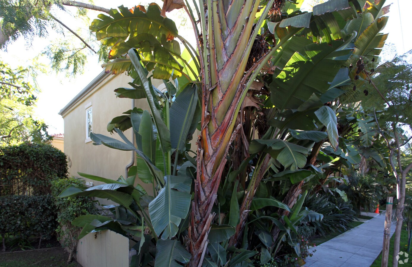 Photo - Park Hill Townhomes