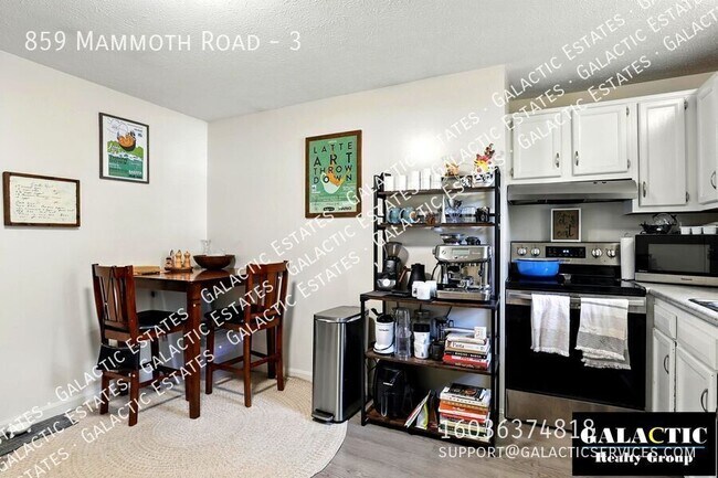 Photo - 859 Mammoth Rd Unit 3