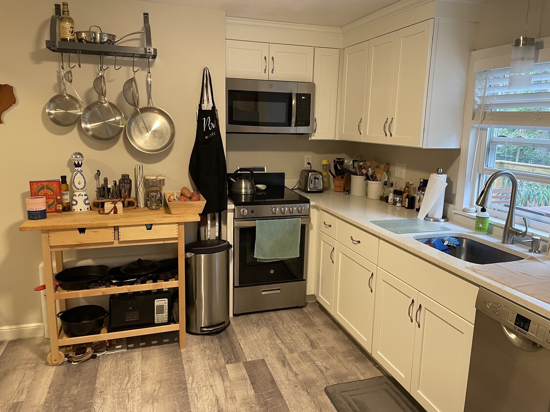 Newly renovated kitchen - 169 Foster St (Boston, MA)