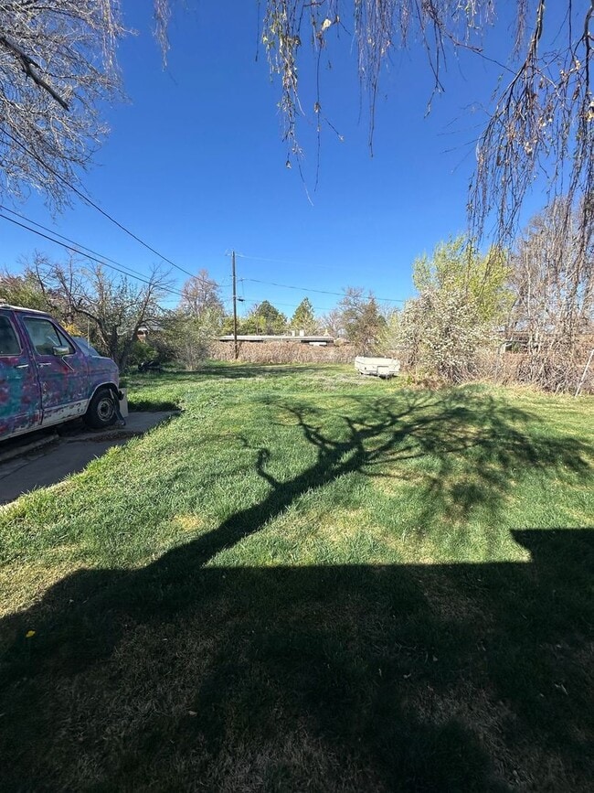 Photo - Charming basement apartment