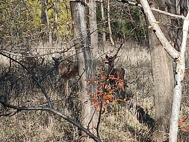 Photo - 2421 S Yellowstone St Unit 403