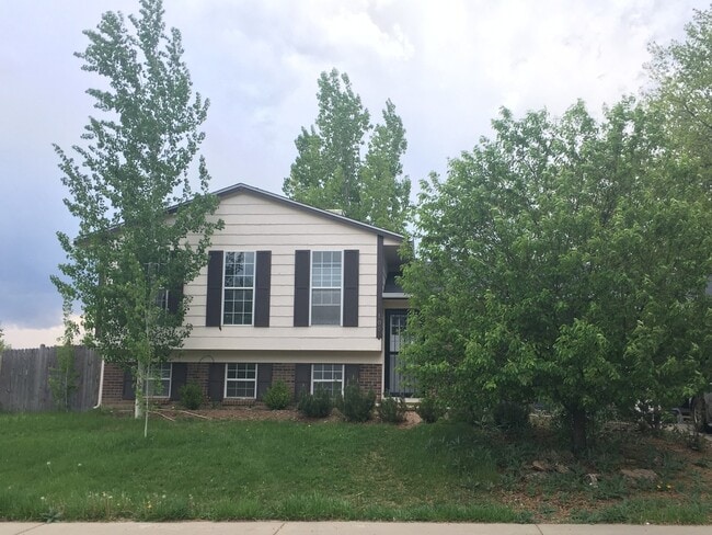 Building Photo - Beautiful Updated Beacon Hill Home - Newly...