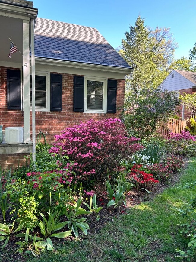 Photo - Wyomissing Schools Rental