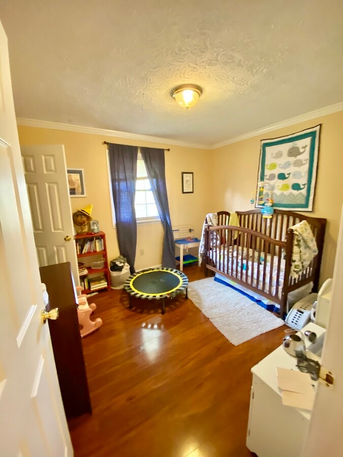 Photo - Big Briar Grove