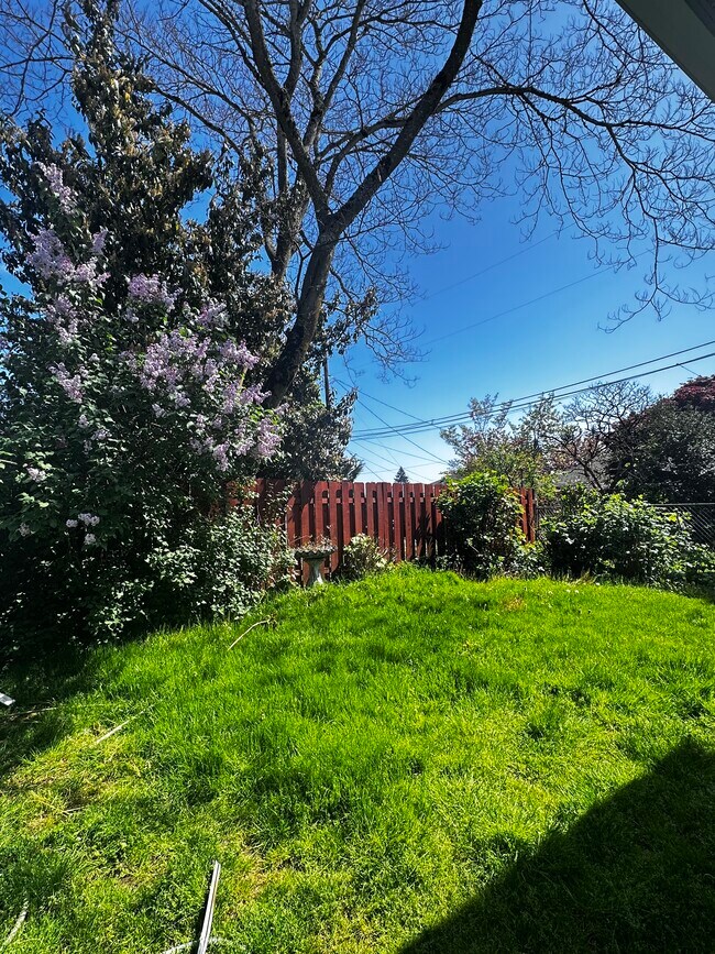 Photo - 609 NW 41st St