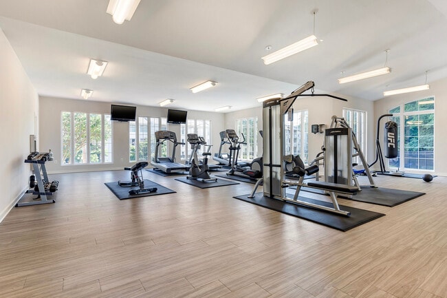 Photo - Annapolis Roads