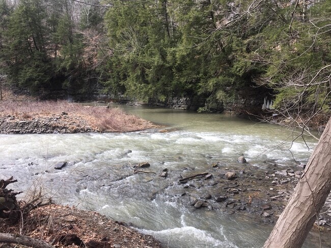 Photo - 5 Charles St