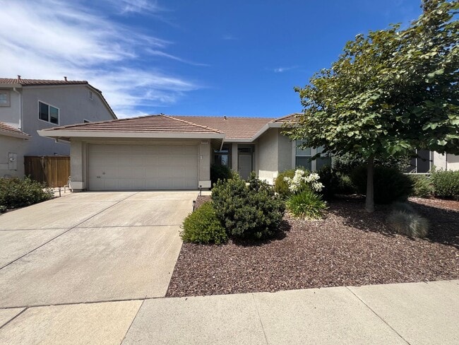 Building Photo - Spacious Single Story 3 Bd, 2 Ba Home in S...
