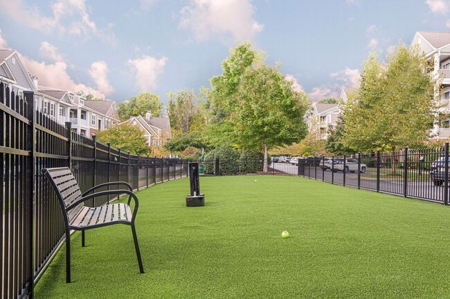 Photo - The Reserve at Belvedere