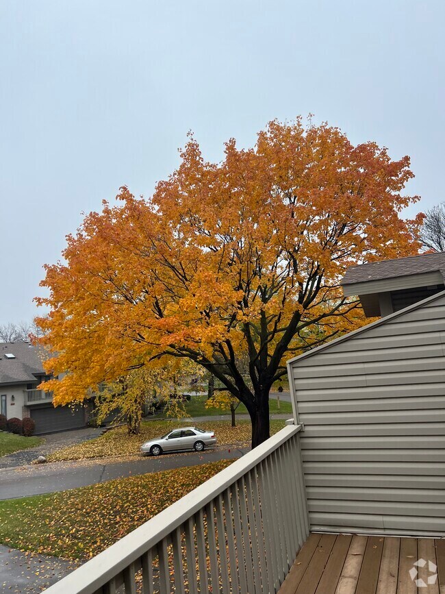 Apartments For Rent in Bloomington, MN 1706 Rentals