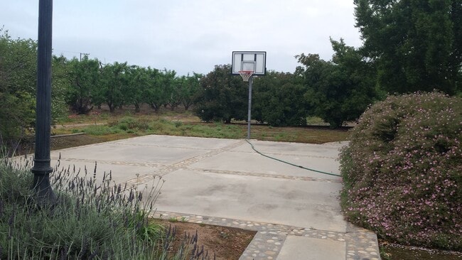 Photo - Country Home