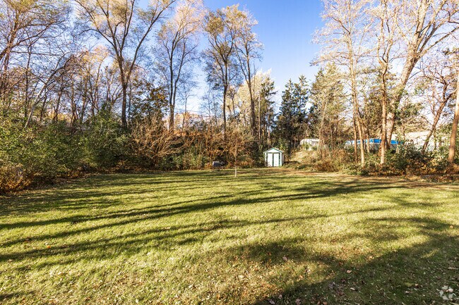Backyard and Griilling Area