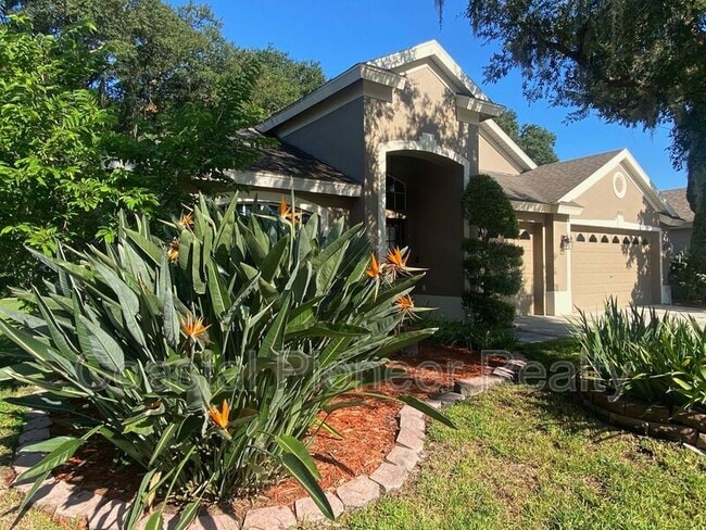 Photo - 10542 San Travaso Dr
