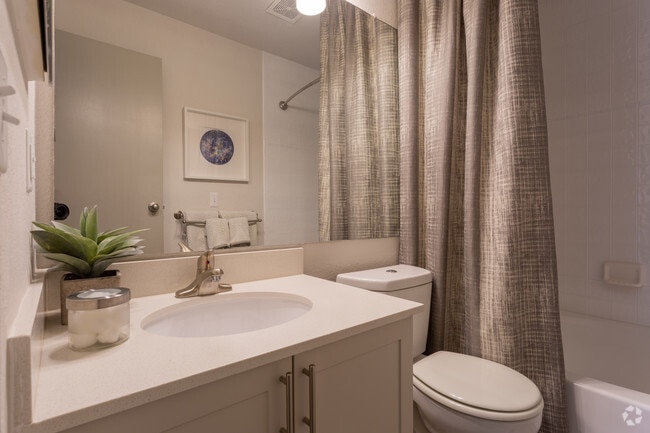 1BR, 1BA - 699 SF - Alvista Trailside